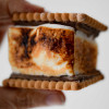 Toasted Marshmallow Smore